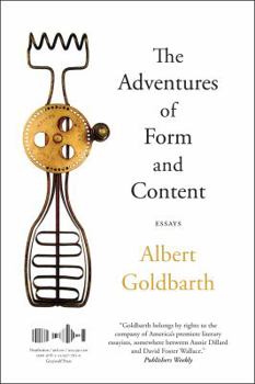 Paperback The Adventures of Form and Content: Essays Book