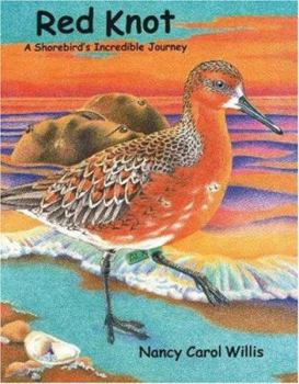 Hardcover Red Knot: A Shorebird's Incredible Journey Book
