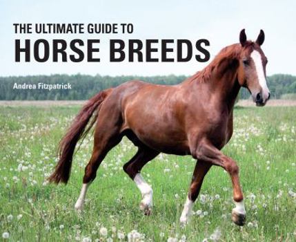 Hardcover The Ultimate Guide to Horse Breeds Book
