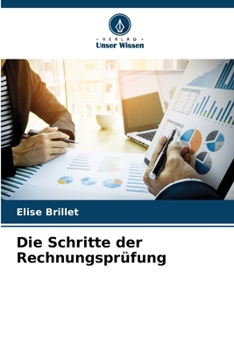 Paperback Die Schritte der Rechnungsprüfung [German] Book