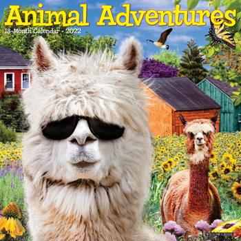 Calendar Animal Adventures 2022 Wall Calendar Book