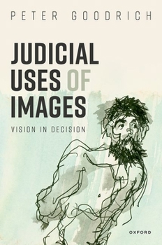 Hardcover Judicial Uses of Images: Vision in Decision Book