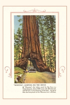 Paperback The Vintage Journal Wawona, Mariposa Big Tree Grove Book