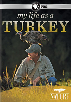 DVD Nature: My Life as a Turkey Book