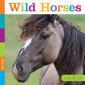 Paperback Seedlings: Wild Horses Book