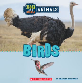 Hardcover Birds (Wild World: Big and Small Animals) Book