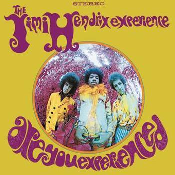 Vinyl Are You Experienced Book