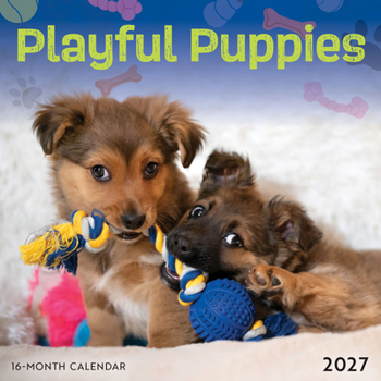 Carousel Worldwide Playful Puppies 2027 Mini Wall Calendar – 16-Month Calendar, Monthly Mini Wall Calendar, Compact Wall Display, 7? × 7?, Gift