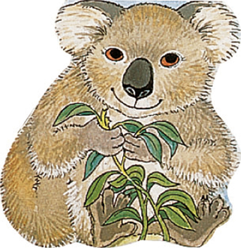 Board book Pocket Koala Book