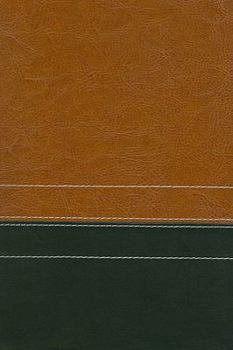 NIV Giant Print Compact Bible, Italian Duo-Tone?, Sierra / Black