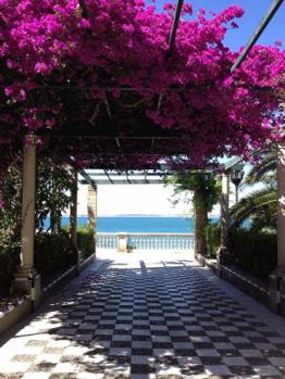 Paperback Oliver's Travels Book