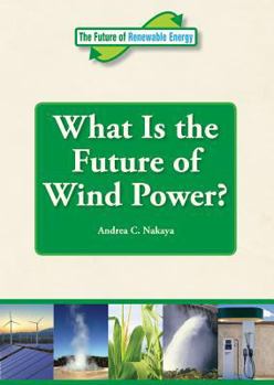 Library Binding What Is the Future of Wind Power? Book