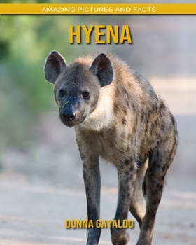 Hyena: Amazing Pictures and Facts