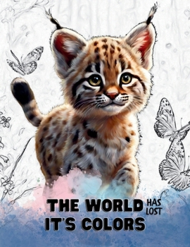 Paperback The world has lost it's colors: A Christian book for kids [Large Print] Book