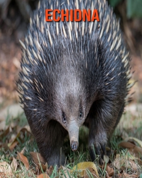 Paperback Echidna: Beautiful Pictures & Interesting Facts Children Book About Echidna Book