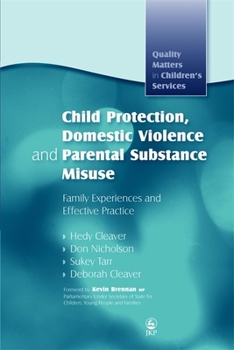 Paperback Child Protection, Domestic Violence and Parental Substance Misuse: Family Experiences and Effective Practice Book