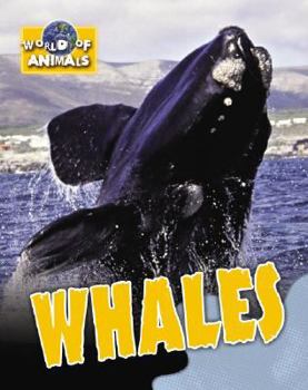 Library Binding Whales Book