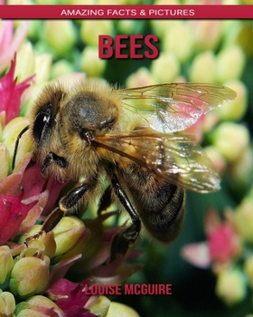 Paperback Bees: Amazing Facts & Pictures Book