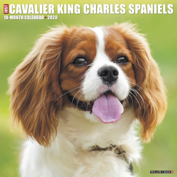 Calendar Just Cavalier King Charles Spaniels 2020 Wall Calendar (Dog Breed Calendar) Book