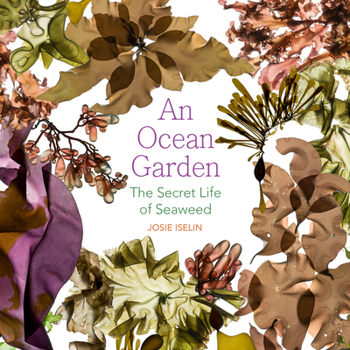 Paperback An Ocean Garden: The Secret Life of Seaweed Book