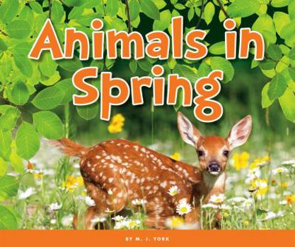 Library Binding Animals in Spring Book