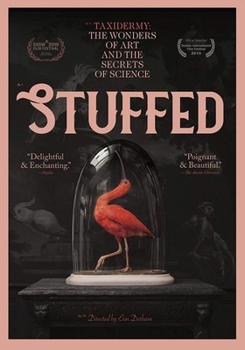 DVD Stuffed Book