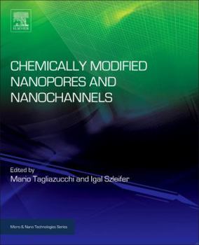 Hardcover Chemically Modified Nanopores and Nanochannels Book
