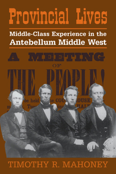 Paperback Provincial Lives: Middle-Class Experience in the Antebellum Middle West Book