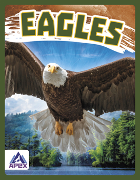 Paperback Eagles Book