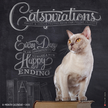 Calendar Catspirations 2025 12 X 12 Wall Calendar Book
