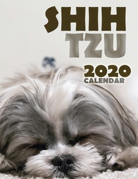 Paperback Shih Tzu 2020 Calendar Book
