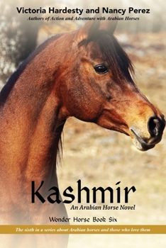 Paperback Kashmir Book