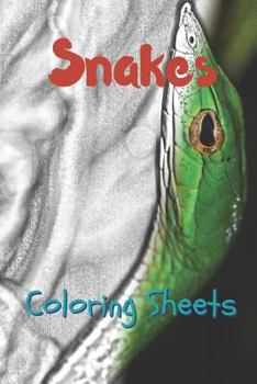 Snake Coloring Sheets: 30 snake drawings,coloring sheets adults relaxation, coloring book for kids, for girls, volume 13