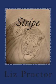 Paperback Stripe Book