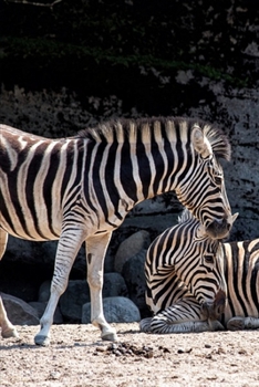 Journal: Zebras