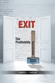 Paperback The Predictably Unpredictable God Book