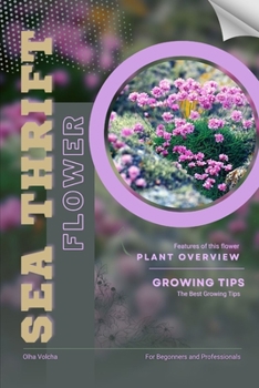 Sea thrift: Flower overview and Growing Tips