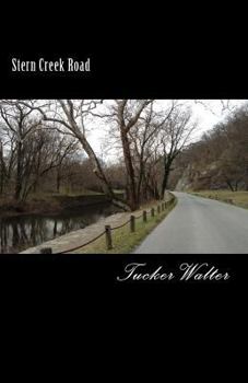 Paperback Stern Creek Road: A Murder Mystery Book