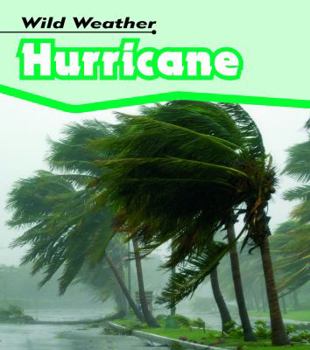 Paperback Hurricane Book