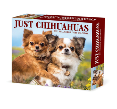 Calendar Chihuahuas 2022 Box Calendar - Dog Breed Daily Desktop Calendar Book