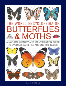 Hardcover The World Encyclopedia of Butterflies & Moths: A Natural History and Identification Guide to Over 565 Varieties Around the Globe Book