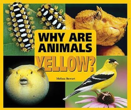 Why Are Animals Yellow? - Book  of the Rainbow of Animals