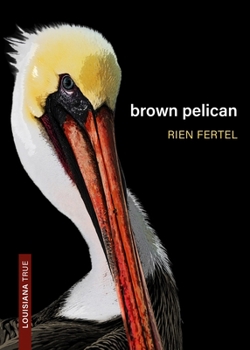 Paperback Brown Pelican Book