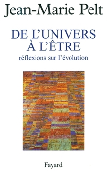 Paperback De l'Univers à l'être [French] Book