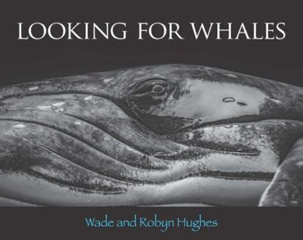 Hardcover Looking for Whales Book
