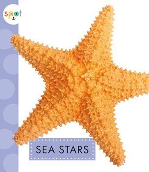 Paperback Sea Stars Book