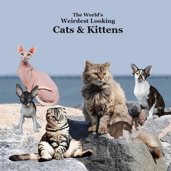 Paperback World's Weirdest Looking Cats and Kittens Kids Book: Great Way for Children to Meet the Weirdest Looking Cats and Kittens Book