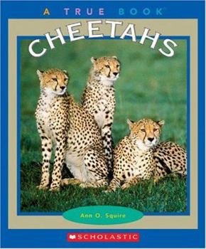 Cheetahs (True Books) - Book  of the A True Book