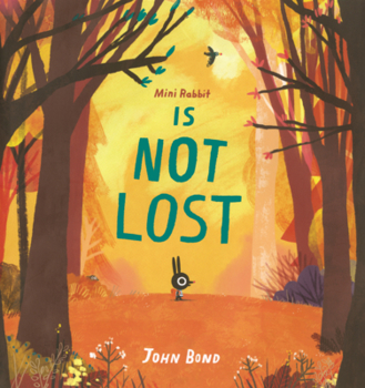 Library Binding Mini Rabbit Is Not Lost Book