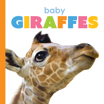 Paperback Baby Giraffes Book